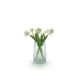 Glass Sturdy Vase 12TDx15BDx25Hcm - Clear