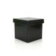 Cube Gift Box w/Lid 16Sqx16Hcm Pk/10