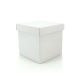 Cube Gift Box w/Lid 18Sqx18Hcm Pk/10