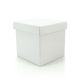 Cube Gift Box w/Lid 20Sqx20Hcm Pk/10