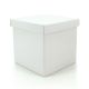 Cube Gift Box w/Lid 24Sqx24Hcm Pk/10