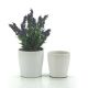 Ceramic Cone Vase Set/2 15.7TDx12.5BDx15.7Hcm